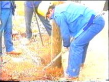 POSTE ELECTRICO (11) � IMAGEN FOTOGRAFIA